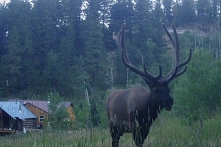 Lodging and Hunting for up to 4 Guests| 5 Night Minimum