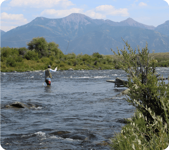 Montana Fly Fishing Teritary