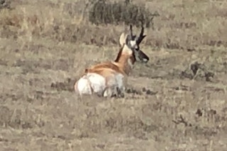 Antelope Hunt | Lodging at the Main House