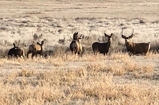 Mule Deer Hunt | Lodging at the Main House