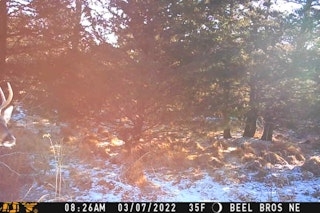 First 4 Days of Rifle Deer Season