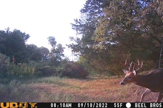 Non-Rifle Deer Hunt