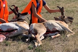 Antelope Hunt