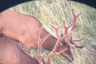 5-Day Archery Elk Hunt