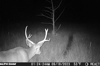 Mule Deer Hunt | 3-Day/3-Night Minimum