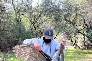 2 Day Archery-Only Wild Turkey Hunt (May 6- May 19) Zone Q1