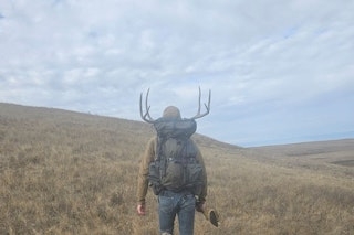 Mule Deer or Whitetail Buck Hunt | Access to Both Listings