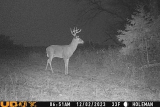 Whitetail Deer Hunt