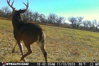 Deer Hunt