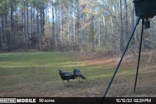 Mississippi Eastern Spring Turkey Hunt